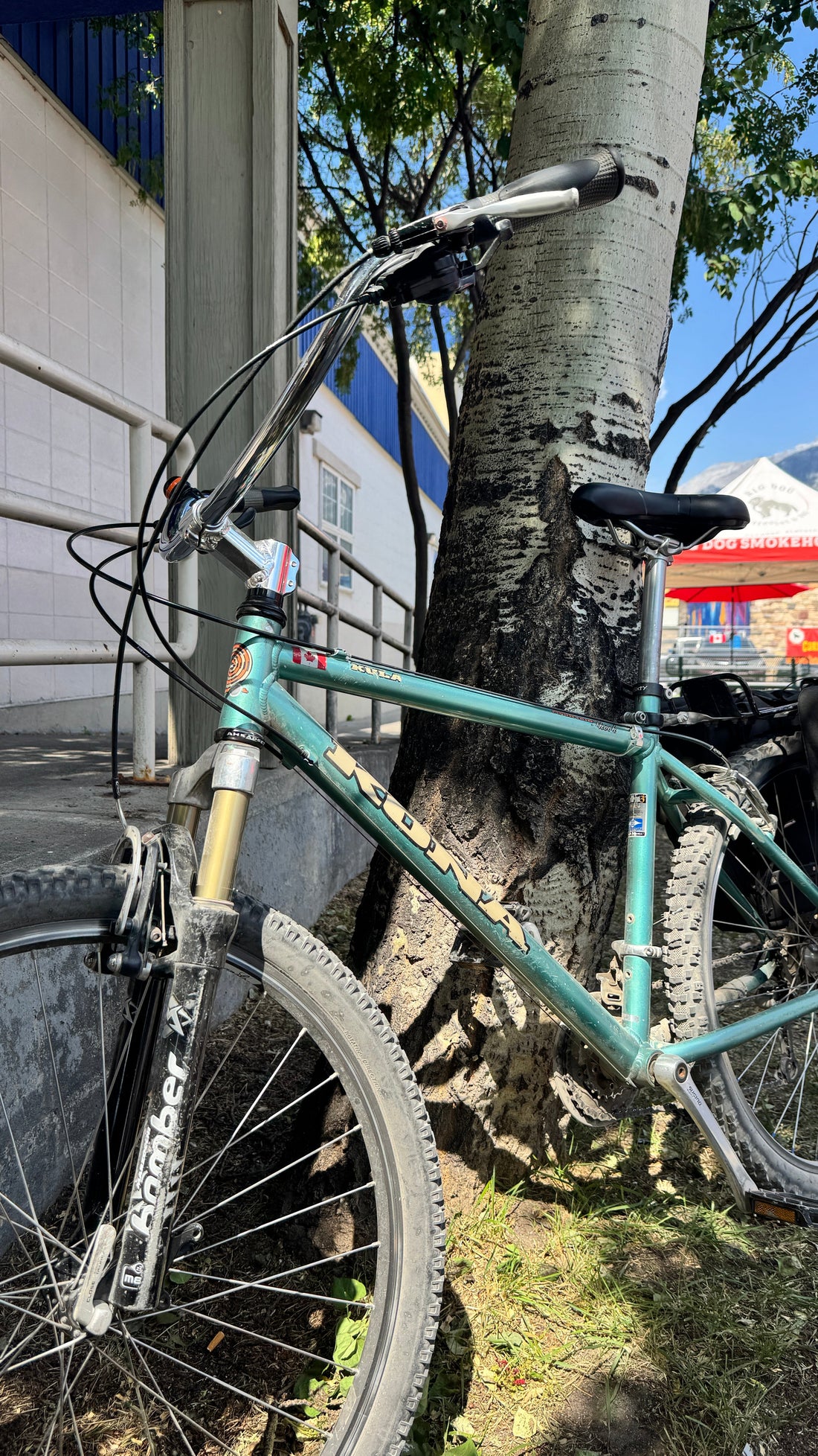 Is Your Old Mountain Bike Worth Rebuilding?