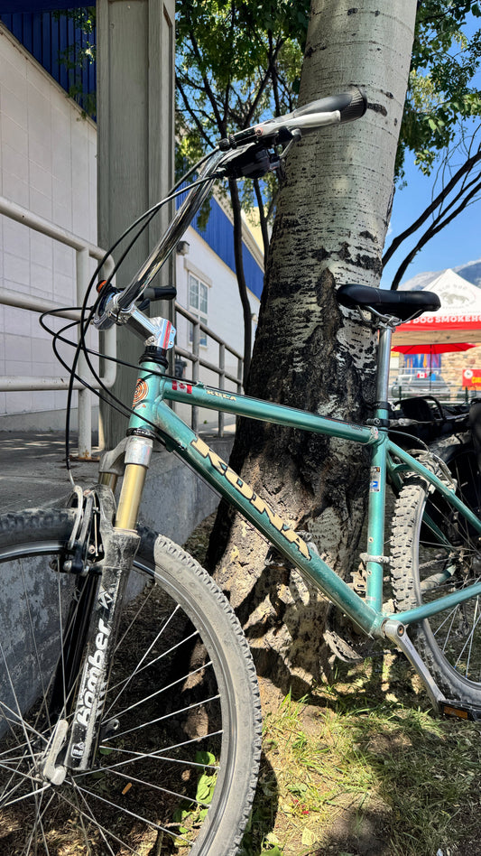 Is Your Old Mountain Bike Worth Rebuilding?