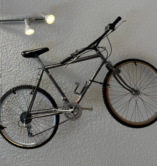 5 Checks for a Garage-Find 90s MTB
