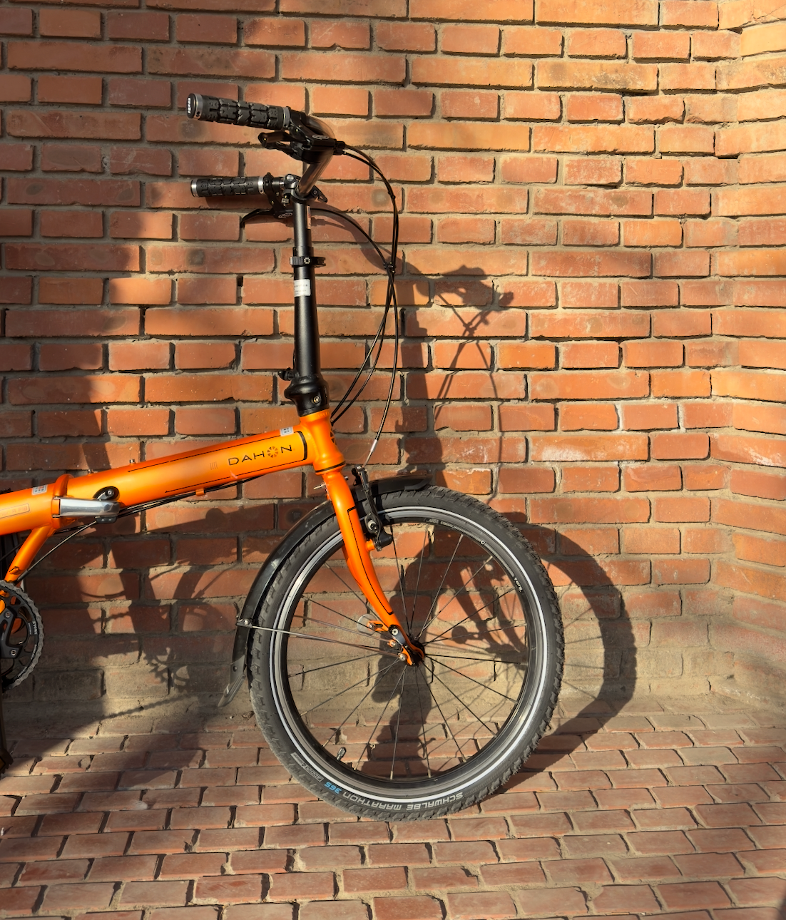 Ten Years Later, This Old Dahon Is Back on the Road