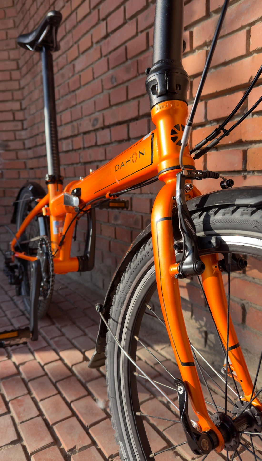 Ten Years Later, This Old Dahon Is Back on the Road