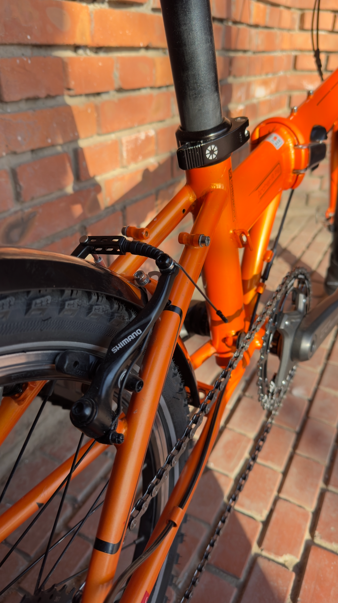 Ten Years Later, This Old Dahon Is Back on the Road