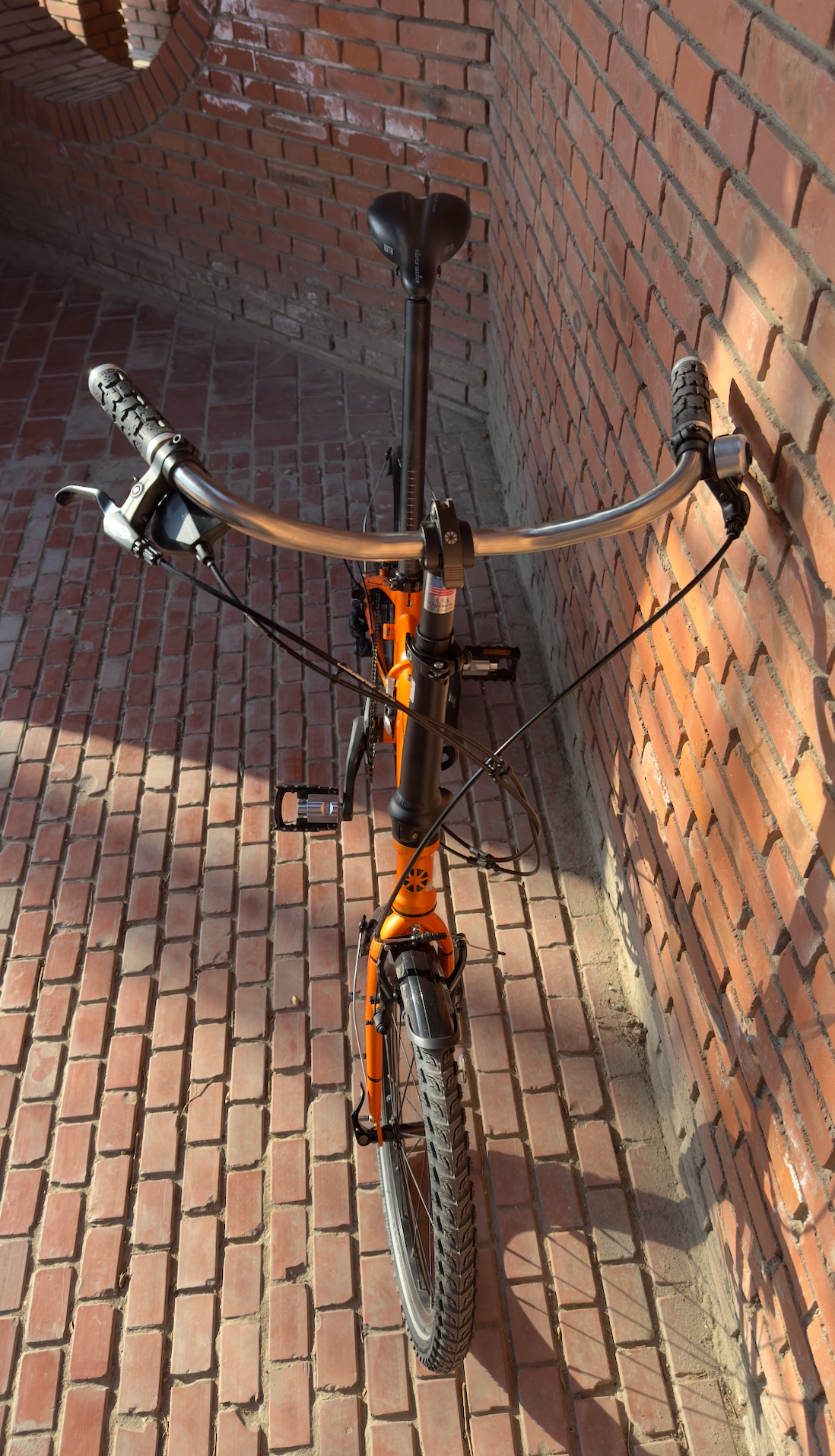 Ten Years Later, This Old Dahon Is Back on the Road