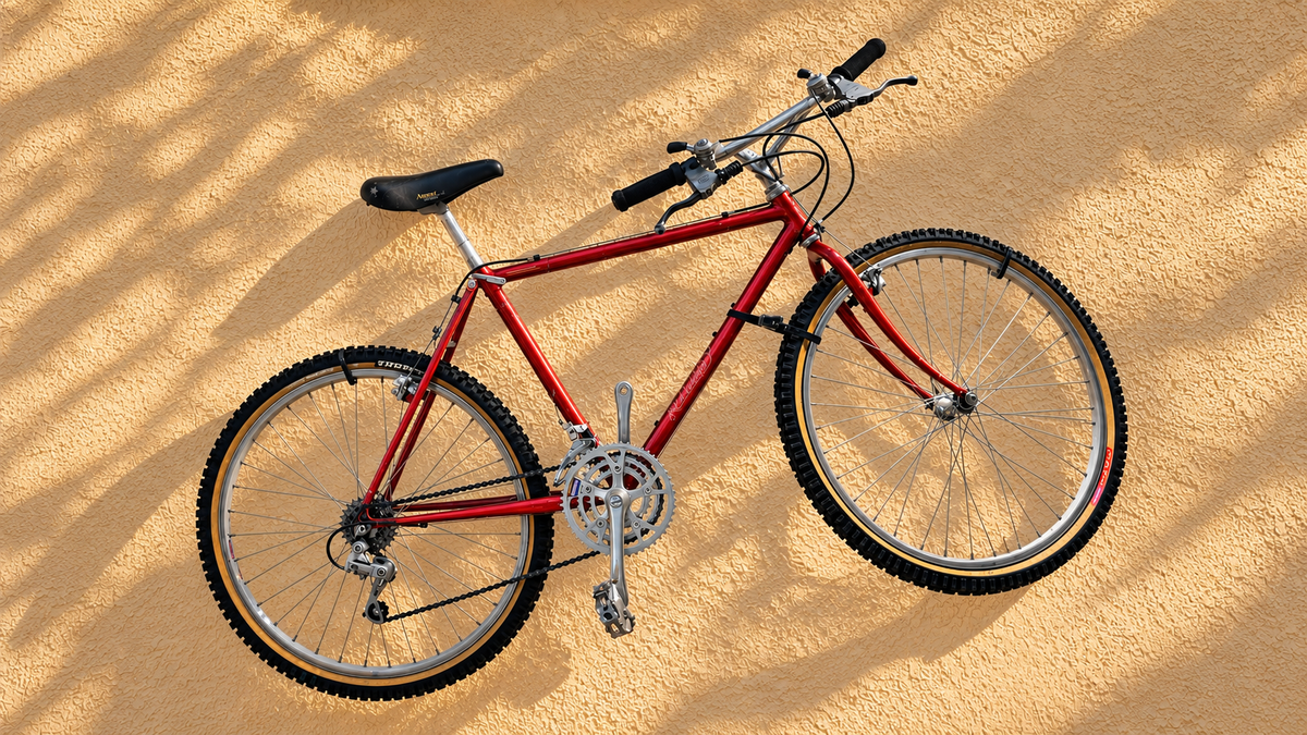 Your Old Bike. A New Everyday Ride.