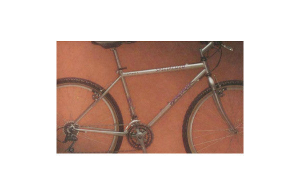 1995 Specialized HardRock Sport GX