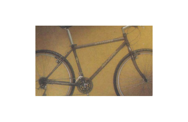 1995 RockHopper