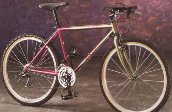 1993 Specialized RockHopper Comp