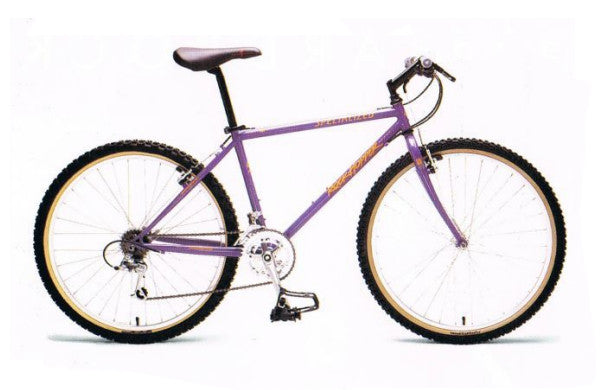 1994 Specialized RockHopper Sport