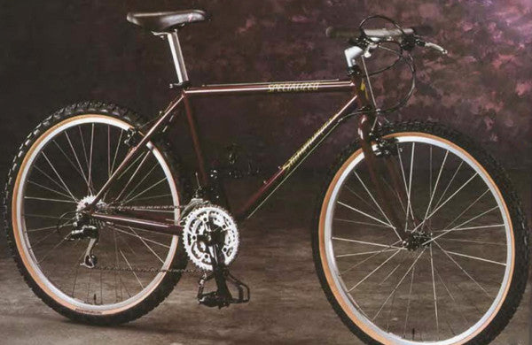 1993 Specialized StumpJumper