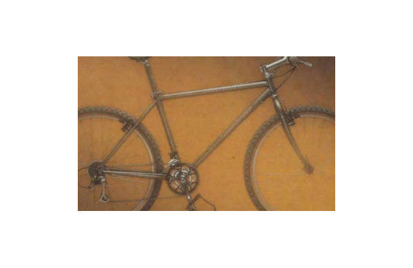 1995 StumpJumper