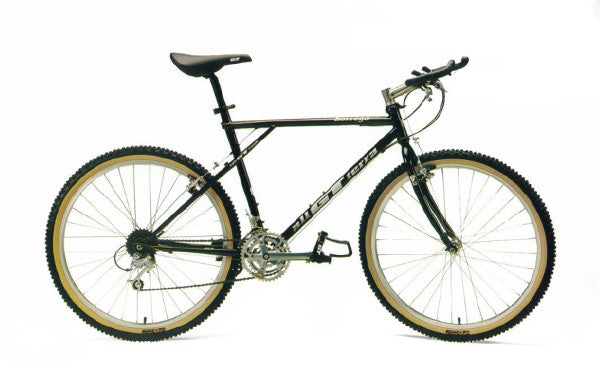 1993 GT Borrego All Terra