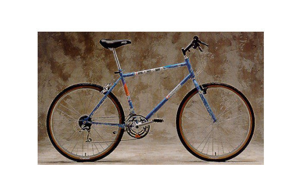 1990 Fire Mountain