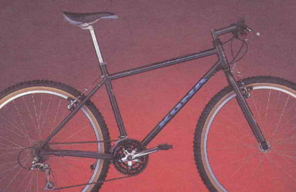 1996 Fire Mountain