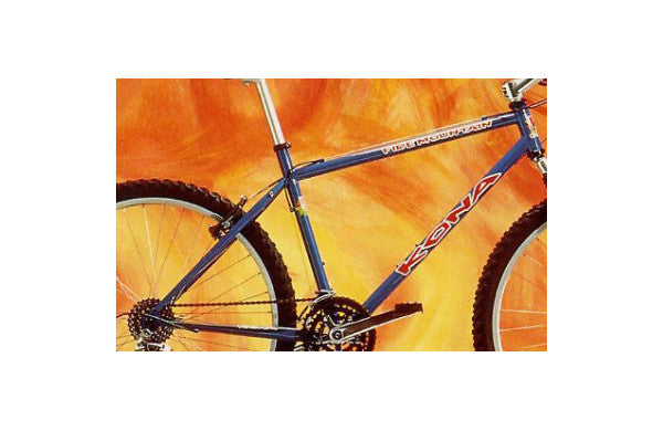 1998 Fire Mountain