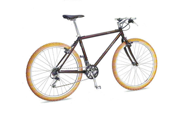1995 Trek Trek 990 SingleTrack ZX Series Competition
